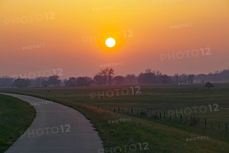 A country lane at sunset with soft colours and a peaceful rural feeling, Elbe dyke, Damnatz, Elbe cycle path, Lower Saxony, Germany, Europe