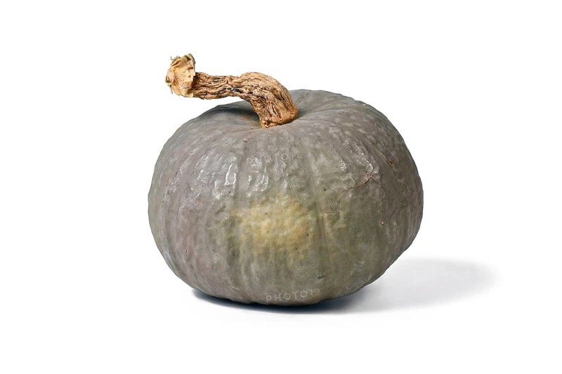 Winter squash called 'Blue Kuri' with blue-gray skin on white background