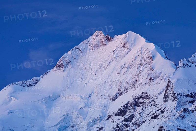 Piz Bernina and Biancograt at dawn, Engadin in the canton of Graubünden, Switzerland, Europe