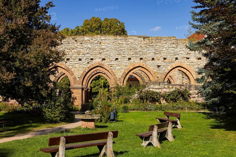 Memleben Monastery and presumed imperial palace, Memleben, Saxony-Anhalt, Germany, Europe
