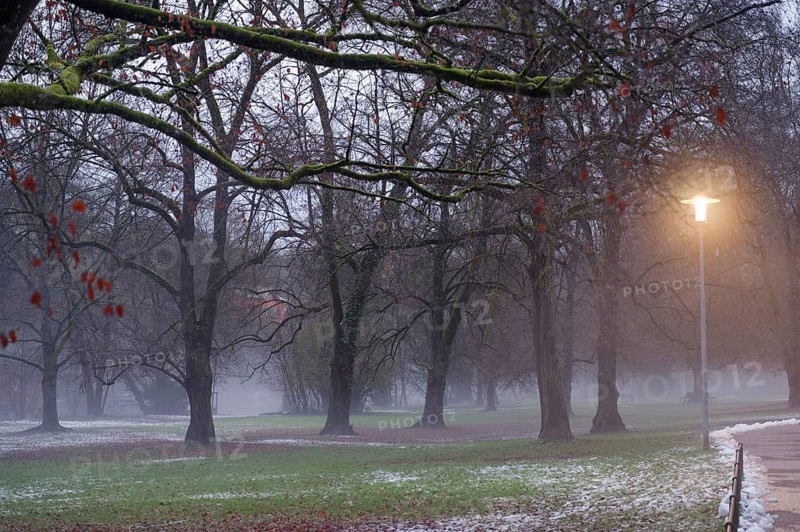 Cloudy mood and slush in the municipal park, danger of slipping, danger of catching a cold, cold, slipping, slipping, injury, injury, snow, slush, January, fields, municipal park, park, Kochertal, Kocher, Schwäbisch Hall, Germany, Europe