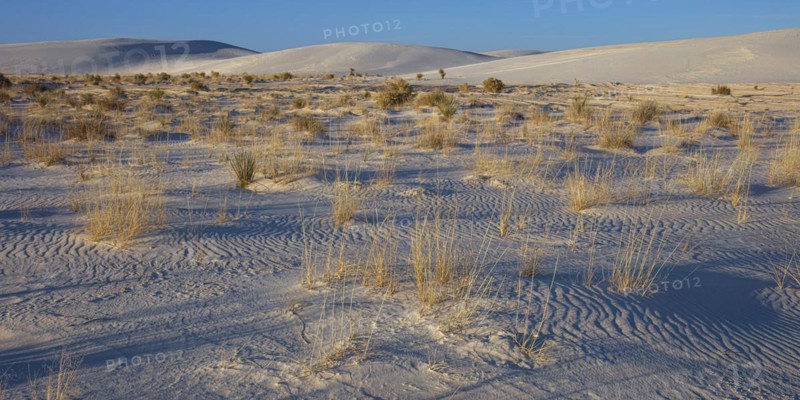 White Sands National Monument, USA, North America