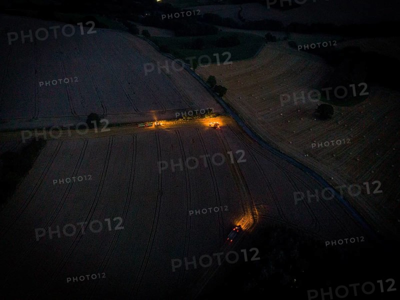 A combine harvester harvests a grain forest. When it is harvest time, the grain must also be brought from the stalk at night