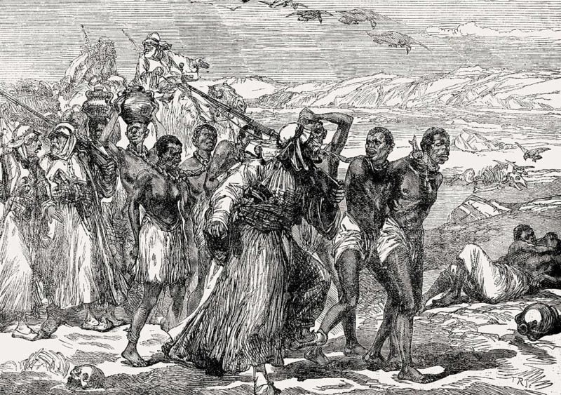 Slaves traversing the African desert, 19th century, From British Battles on Land and Sea, by James Grant