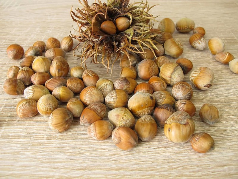 Hazelnuts from the tree hazel in the nutshell and a fruit stand