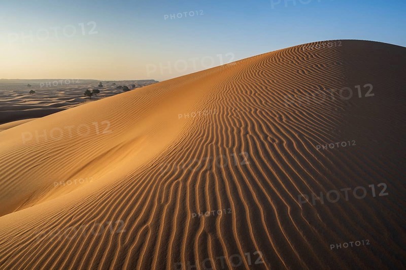 Sand dunes in the desert, near Duqm, Oman, Asia