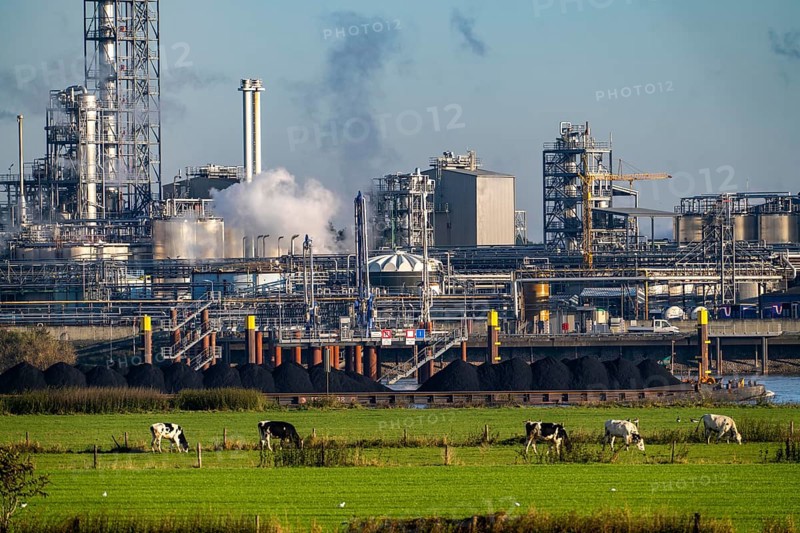 Cargo ship, coal, on the Rhine near Emmerich, Kao Chemicals scenery, specialising in surfactants, KLK, Left Rhine pastures, Lower Rhine, North Rhine-Westphalia, Germany, Europe