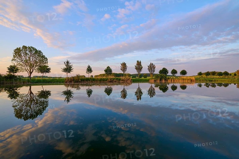 Lake in spring with row of trees and reflection at sunset, Drei Gleichen, Ilm-Kreis, Thuringia, Germany, Europe