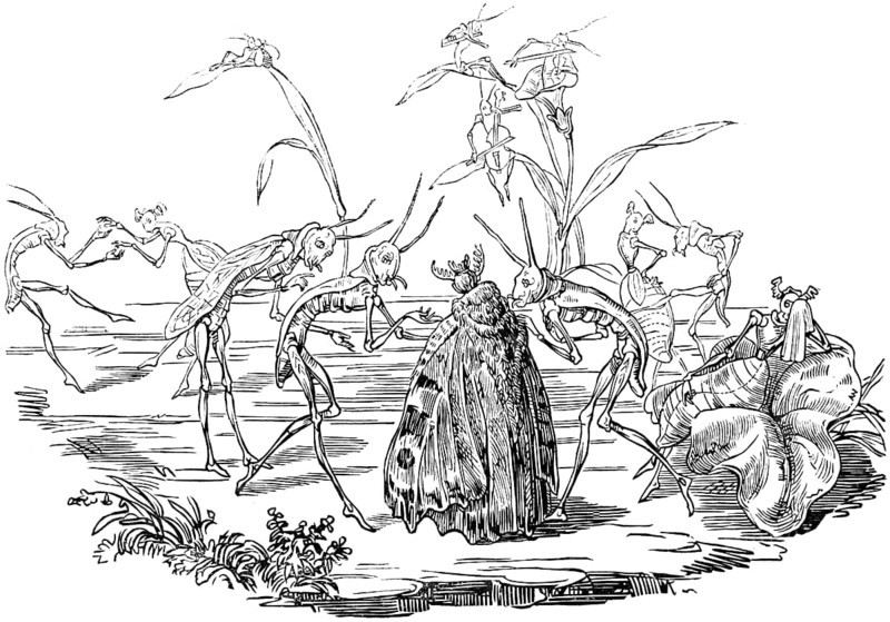 Grasshopper lady being courted by male creatures, romantic scene, parable about the life of men, depicted in caricatures of the grasshopper, parody, literary tale in pictures with morals, mockery and derision, woodcut illustration, Swiss calendar for 1848