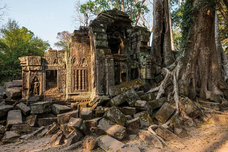 Ta Prohm, Angkor Wat, Angkor, UNESCO World Heritage Site, Siem Reap, Cambodia, Indochina, Southeast Asia, Asia
