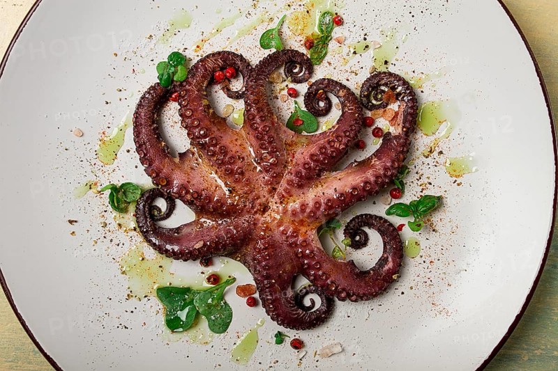 Boiled octopus, close-up, rustic style, no people, top view, close-up