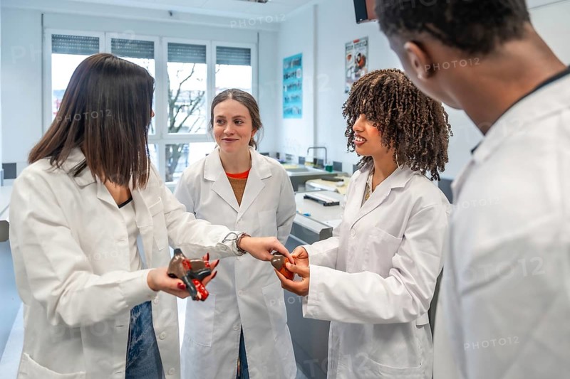 Diverse group of medical students collaborating on anatomical model, demonstrating teamwork and knowledge sharing in university lab environment