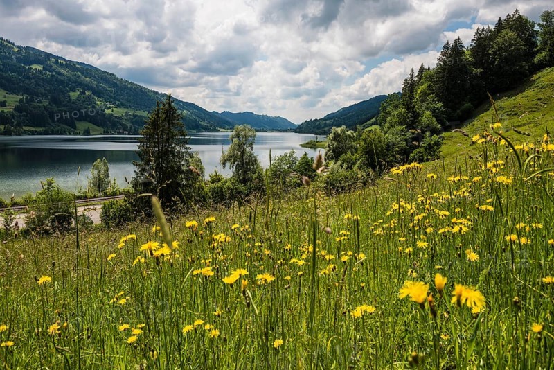 Bühl, Großer Alpsee, Immenstadt, Oberallgäu, Allgäu, Swabia, Bavaria, Germany, Europe