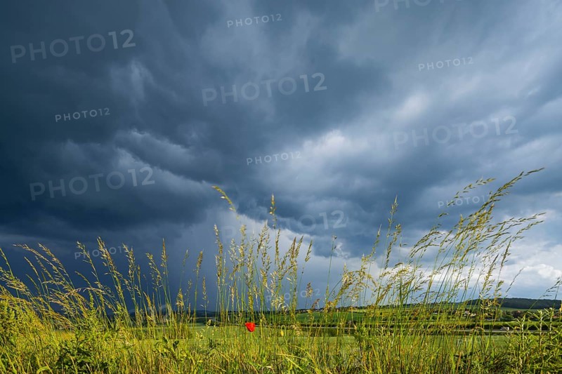Thunderstorm cell over fields near Krebs in the Osterzgebirge, Krebs, Saxony, Germany, Europe