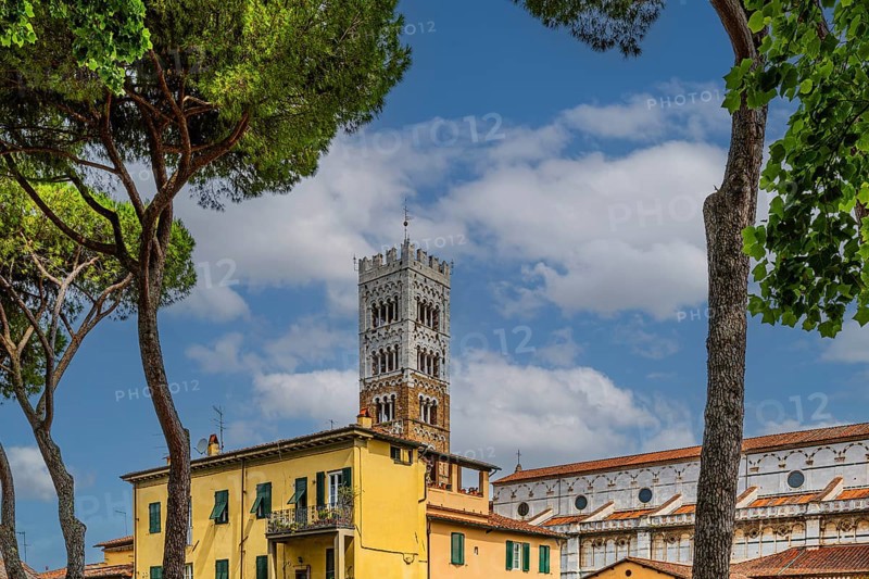 Tower of San Martino Cathedral, historic city centre, Lucca, Tuscany, Italy, Europe