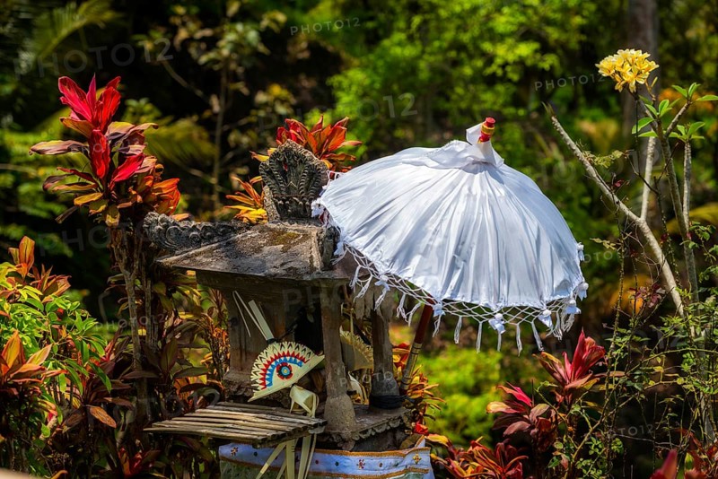 Balinese umbrella, temple, decoration, Jatiluwih, rice terrace, agriculture, farming, Hinduism, tourism, travel, landscape, Bali, Indonesia, Asia