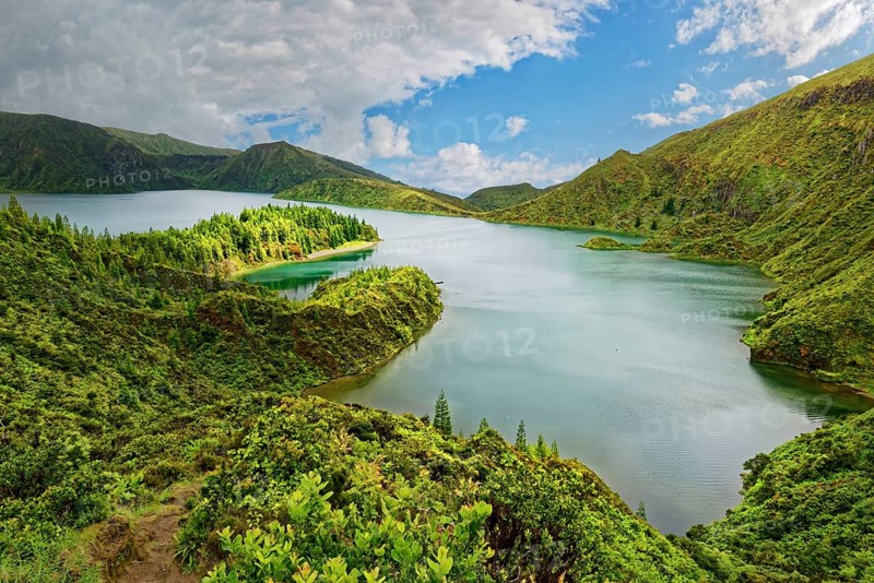 A tranquil lake surrounded by green mountains and wooded slopes under a blue sky, crater lake Lagoa do Fogo, Caldeiras, Sao Miguel Island, Azores, Portugal, Europe