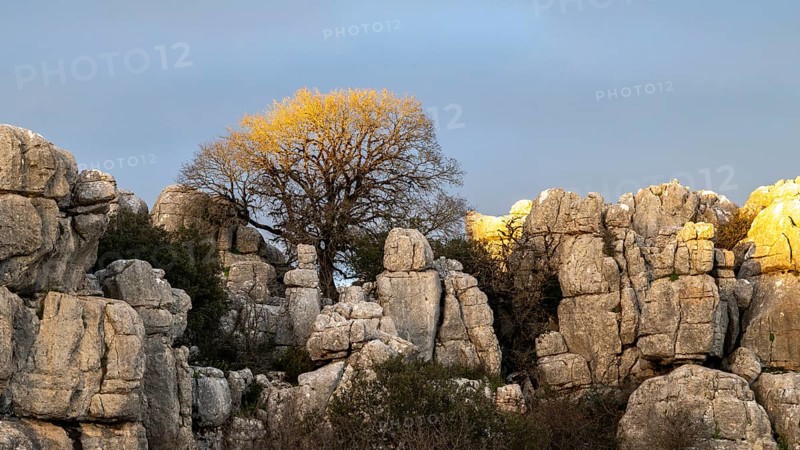 Bizarre limestone rock formations, El Torcal nature reserve, Torcal de Antequera, Malaga province, Andalusia, Spain, Europe