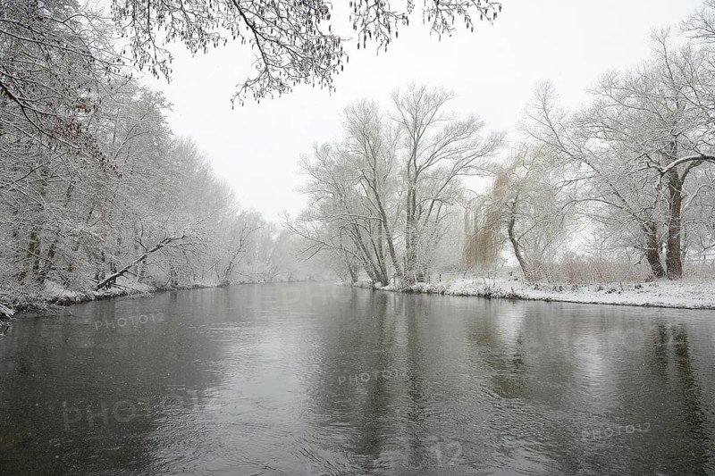 Winter landscape by a river, willows (Salix) and alders (Alnus) on the bank in dense snowfall, North Rhine-Westphalia, Germany, Europe