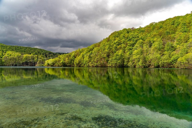 Lake in Plitvice Lakes National Park, Croatia, Europe
