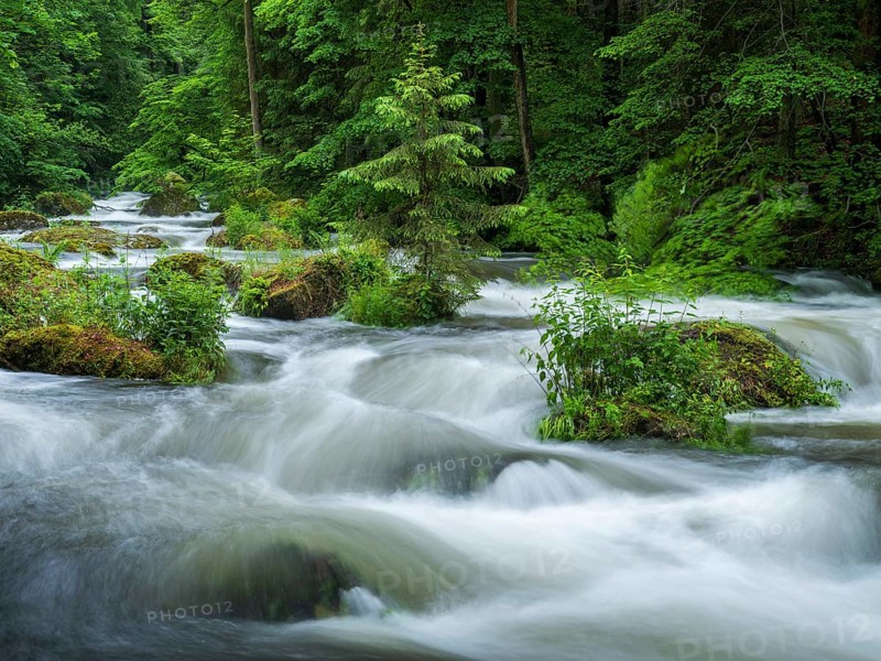 White water and rapids on the Trieb stream in the Triebtal nature reserve in Vogtland, Plauen, Saxony, Germany, Europe