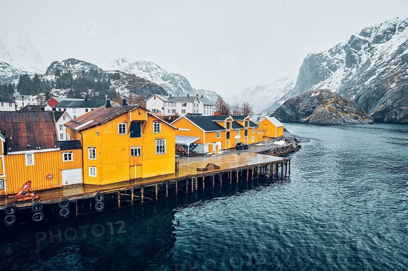 Panorama of Nusfjord authentic fishing village with yellow rorbu houses in Norwegian fjord in winter. Lofoten islands, Norway, Europe