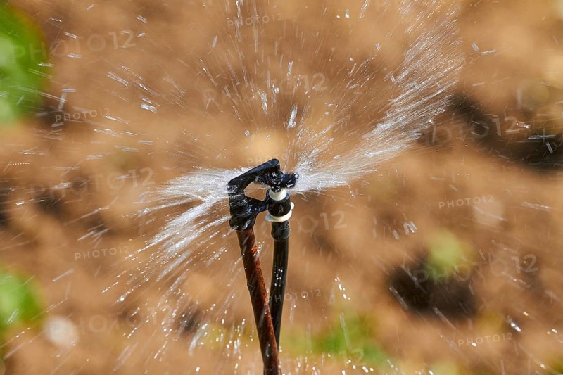 Irrigation sprinkler, field, macro, splashing water, Lassithi plateau, Lassithi, East Crete, island of Crete, Greece, Europe