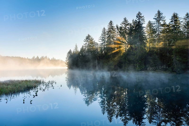 Sunrise over the mirror-smooth mire lake Étang de la Gruère in the canton of Jura, Switzerland, Europe