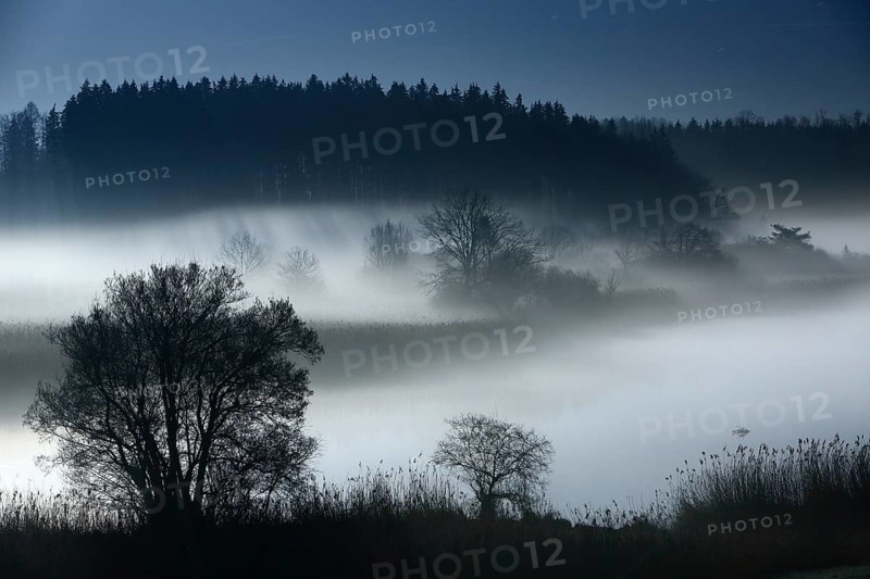 River landscape with ground fog at full moon at night, silhouettes of trees, Alz, Chiemgau, Bavaria, Germany, Europe