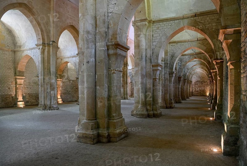 Nave of the Cistercian Abbey of Fontenay, Unesco World Heritage Site, Cote d'Or, Burgundy, France, Europe