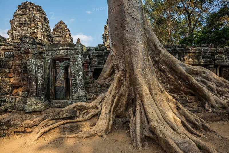 Ta Prohm, Angkor Wat, Angkor, UNESCO World Heritage Site, Siem Reap, Cambodia, Indochina, Southeast Asia, Asia
