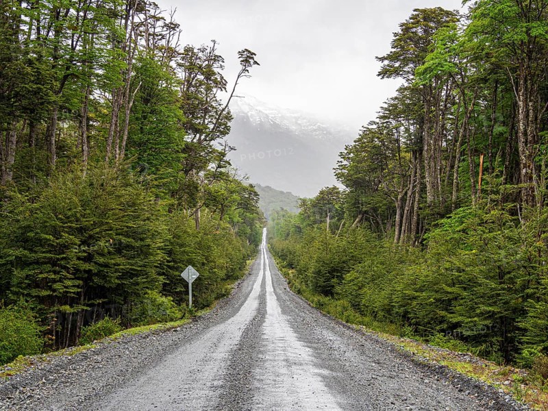 Road Carretera Austral passing cold rain forest near Villa o' Higgins, Patagonia, Chile, South America