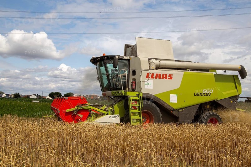 Grain harvest in the Rhein-Pfalz district near Mutterstadt