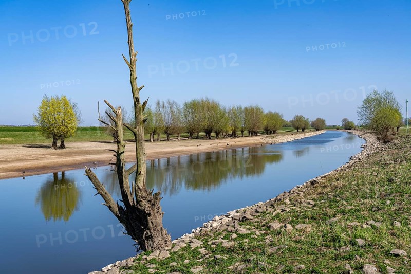 The Gierthausen oxbow lake near Schenkenschanz, Kleve, on the Lower Rhine, North Rhine-Westphalia, Germany, Europe