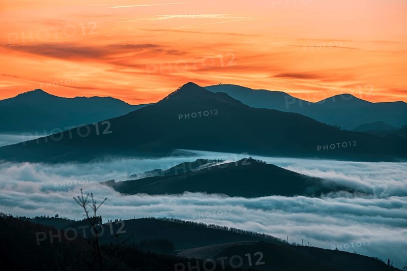Detail of the fog about to rise in the sun Dawn cloudy one morning in the valley of Lesaka, Navarra. Basque Country