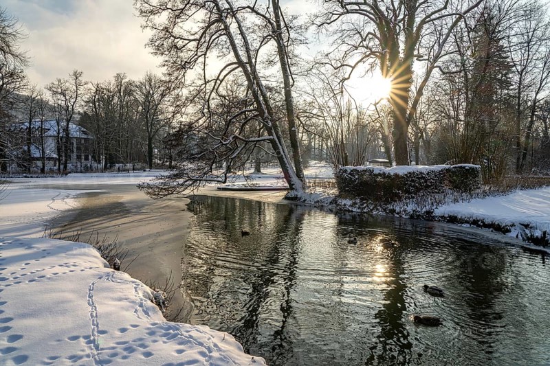 The snow-covered Gräflicher Park in Bad Driburg in winter, North Rhine-Westphalia, Germany, Europe
