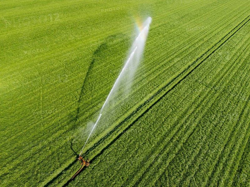 Artificial irrigation of a cereal field in April, with a sprinkler system, long dry spell in spring makes this necessary for the young plants to grow well, Kerken, Lower Rhine, North Rhine-Westphalia, Germany, Europe