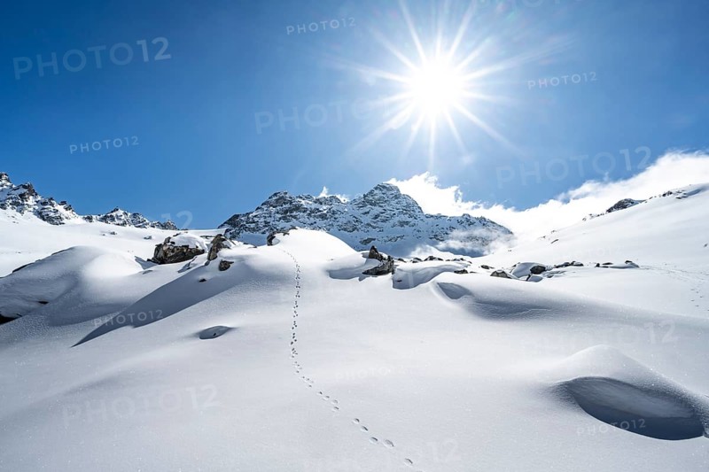 Picturesque snow-covered mountain landscape with summit Piz Kesch, Sonnenstern, ski tour Bündner Haute Route, Albula Alps, Rhaetian Alps, Grisons, Eastern Switzerland, Switzerland, Europe