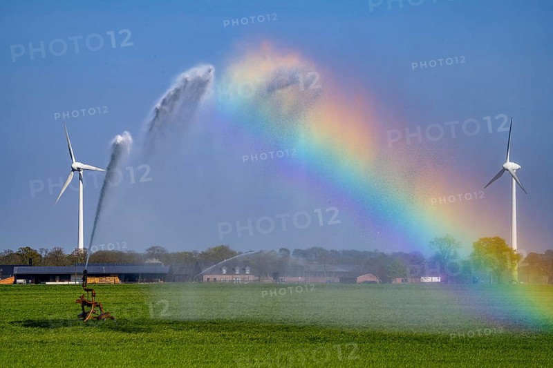 Artificial irrigation of a cereal field in April, with a sprinkler system, long dry spell in spring makes this necessary for the young plants to grow well, Kerken, Lower Rhine, North Rhine-Westphalia, Germany, Europe