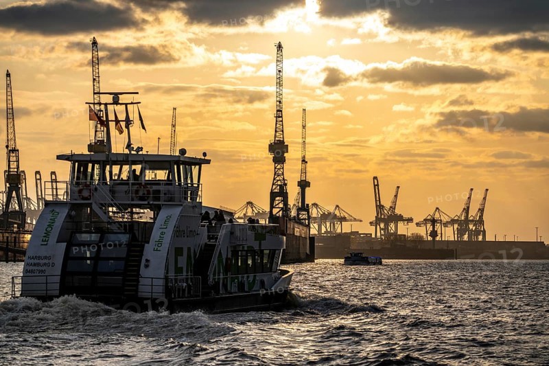 Port of Hamburg, view of the Blohm + Voss shipyard, evening, cranes of the container terminals, harbour tour boat, Hamburg Germany