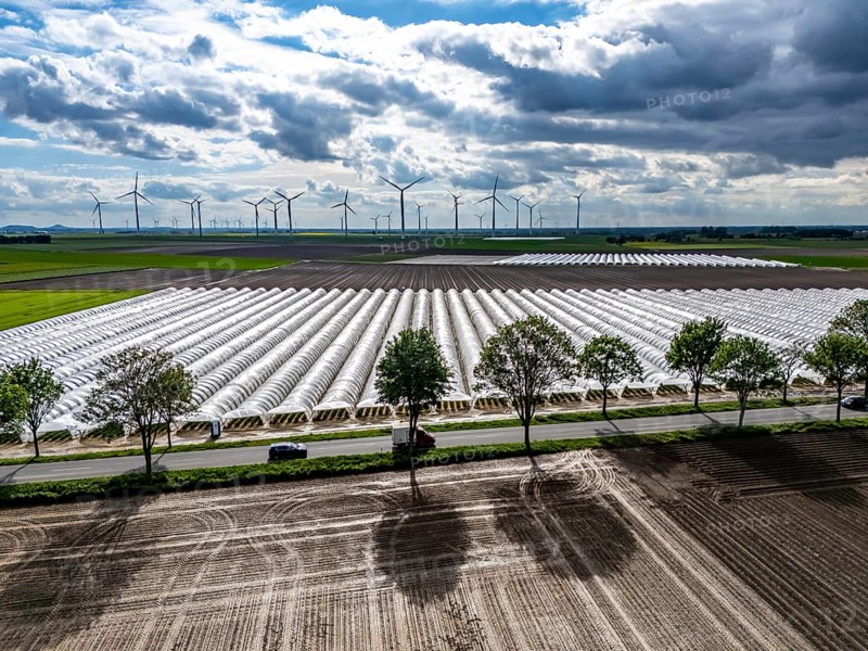Agriculture, large areas with foil tunnel, for the cultivation of strawberries, freshly cultivated fields, wind farm, south of Lövenich, belongs to Erkelenz, in the district of Heinsberg