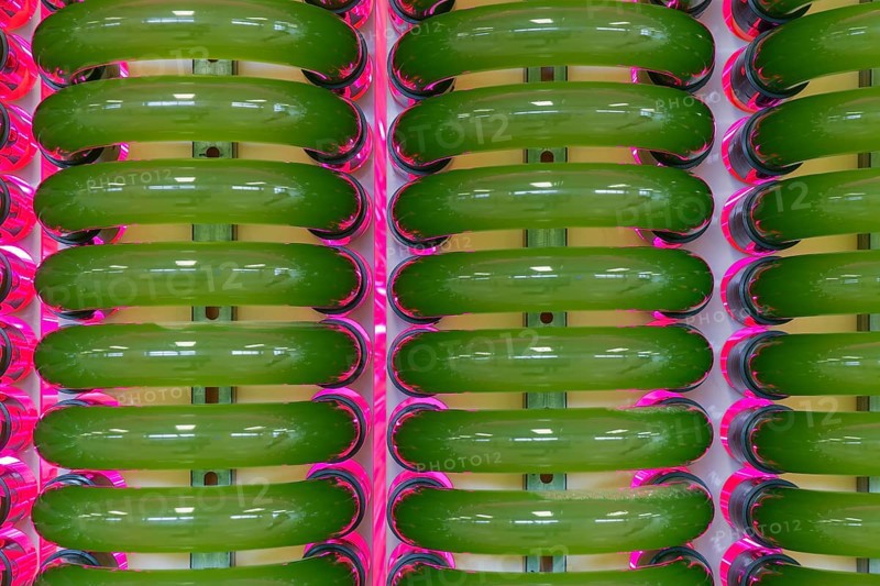 PUEVIT GmbH produces the most efficient photobioreactors for the cultivation of microalgae. The aim is to revolutionise the supply of raw materials through microalgae production. Innovative technological solutions have been developed for the growth and harvesting of spirulina, chlorella and other microalgae, for example, which enable unique efficiency, unprecedented simplicity and maximum stability in what is probably the most compact tube system on the market. Raw, unprocessed spirulina is produced as a fresh, regional food under the ALGENWERK brand. The algae grow in our own facilities and are harvested and freshly packaged directly without any further processing. Spirolina production, start-up of full production at the Puevit algae plant, Dresden, Saxony, Germany, Europe
