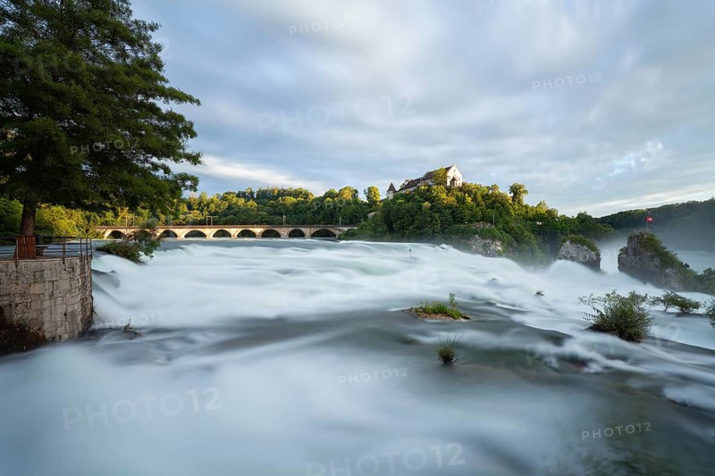 The Rhine Falls at Schaffhausen in Switzerland with Laufen Castle on the Rhine Falls. An extreme amount of water in 2024