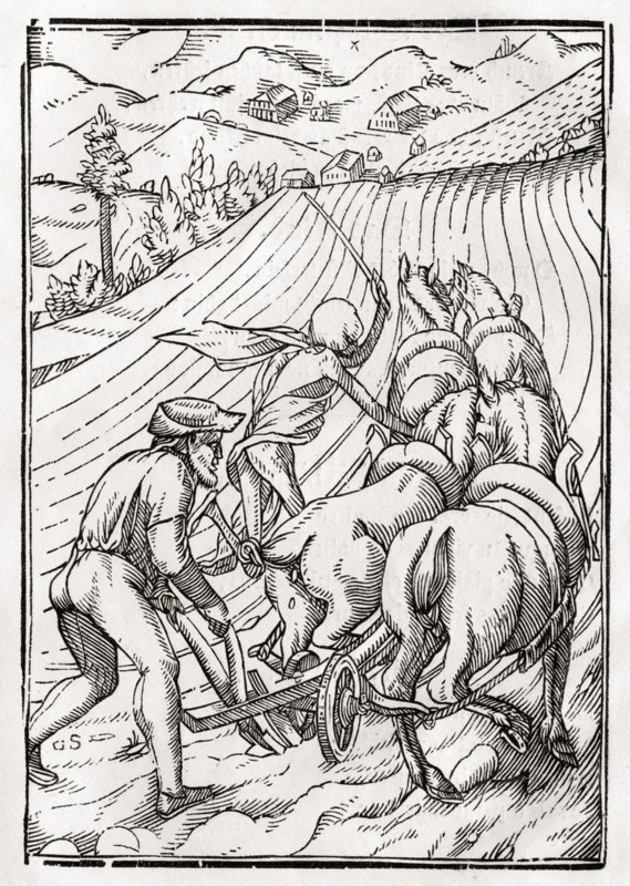 Der Tod kommt für den Bauern oder den Hausmann Woodcut by Georg Scharffenberg after Hans Holbein the Younger from Der Todten Tanz, published Basel 1843, Death comes for the Farmer or Husbandman Woodcut by Georg Scharffenberg after Hans Holbein the Younger From Der Todten Tanz or The Dance of Death published Basel 1843, Historic, digitally restored reproduction from a 19th century original, Record date not stated