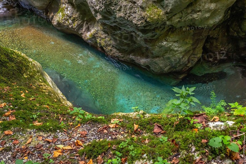 Clear turquoise water flows through the narrow tolmin gorges canyon, surrounded by moss covered rocks and fallen leaves