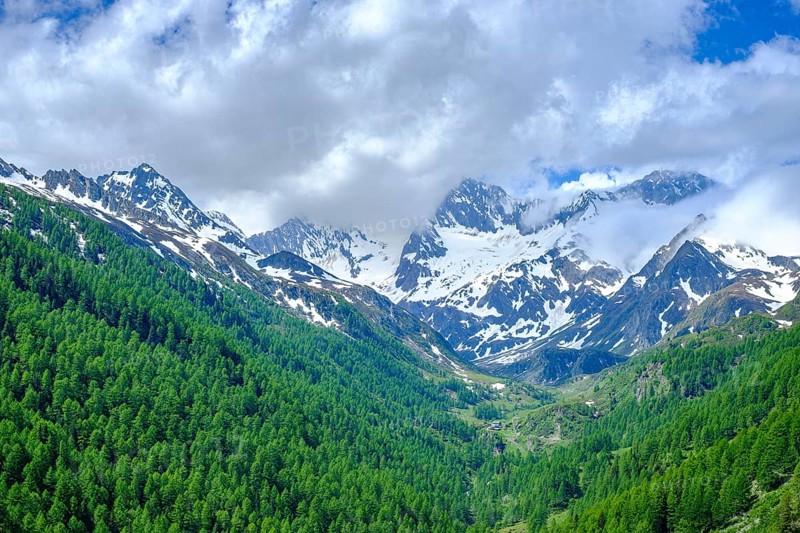 Mountain scenery in the Passeier Valley above Rabenstein, moss in Passeier, South Tyrol, Italy, Europe