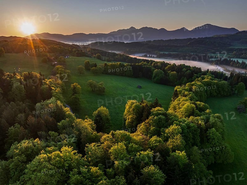 Aerial view, trees, forest, meadow, light green leaves, morning light, fog, mountains, sunny, sunrise, backlight, spring, near Murnau, Alpine foothills, Bavaria, Germany, Europe