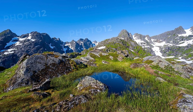 Small pond in moor landscape at Trollfjord Hytta, mountain landscape with rocky mountain peaks, at Trollfjord, Lofoten and Vesterålen, Nordland, Norway, Europe