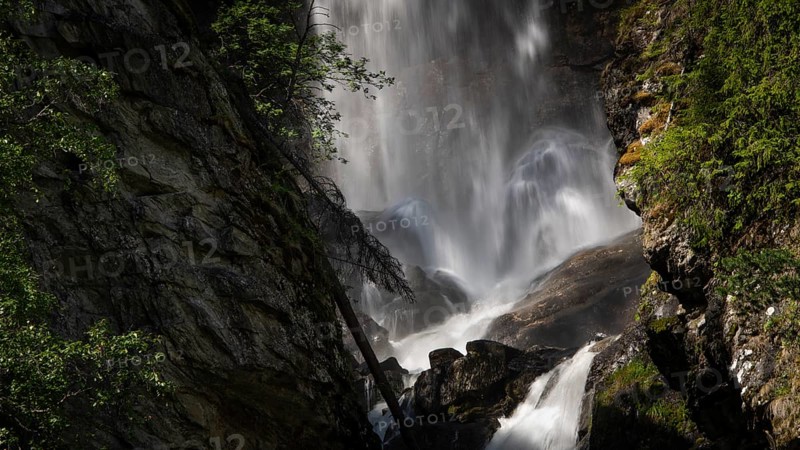 A rushing waterfall flows over rocks in a wooded setting, Roståa stream, near Sel, Gudbrandsdalen, Norway, Europe