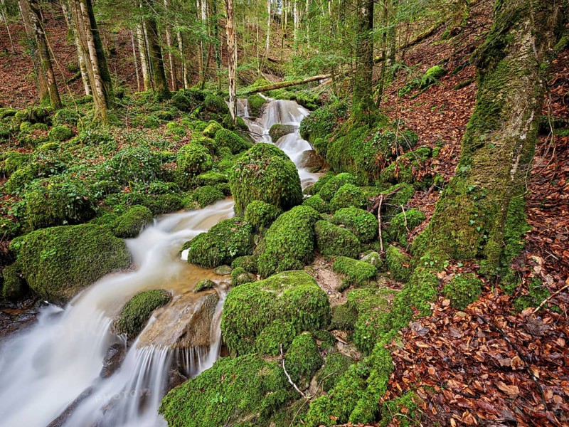 Waterfall with moss-covered rocks, Sihlsprung, Menzingen, Canton Zug, Switzerland, Europe